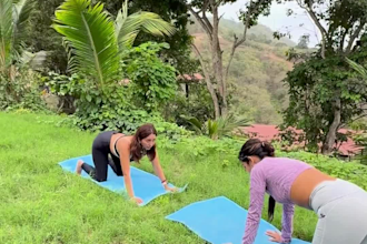lead healing yoga and mindfulness sessions online