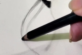 create a hand drawn, watercolor, or digital portrait ai vector art