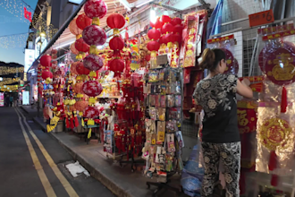 create festival or cultural event walking videos in shenzhen for you