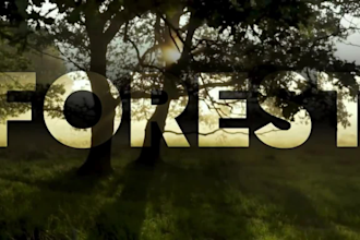 stunning animated text, titles, and kinetic typography for your videos