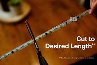 do professional video editing, video conversion in HD in 24 hours