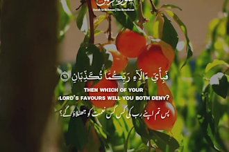 create quran recitation video with subtitle in any language