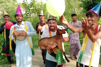 make funny happy birthday video message for you