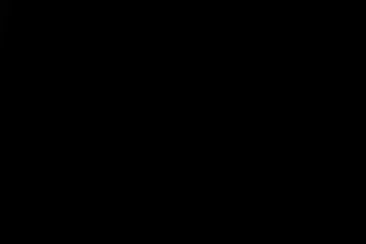 animate your scene, commercial, video