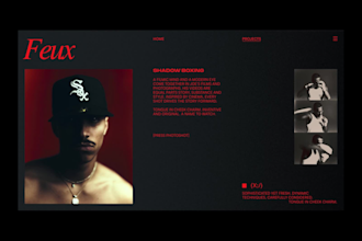 design a responsive personal portfolio website agency portfolio with wordpress