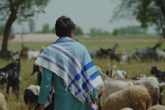 as a cinematographer videographer video editor in pakistan