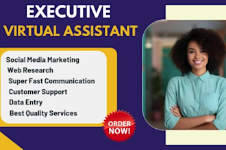 be your executive VA administrative task admin assistant and personal VA