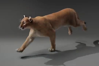 do quality 3d animal model , 3d design, 3d rigging 3d animation texturing 3d cgi