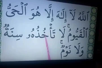 provide online quran teacher, tutor, for female and kids
