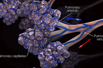 3d medical animation surgical biological anatomy illustration surgery animation