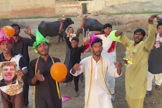 do african happy birthday video or happy father day