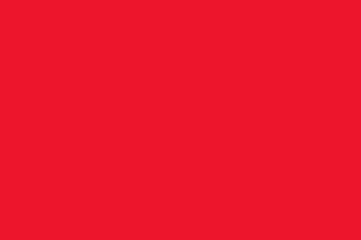 provide brand creation and management consulting