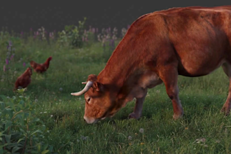 render 3d animal model, 3d dragon animation, animal rigging, 3d animal animation