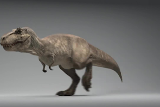 do 3d animal model, animal animation 3d dragon animation 3d creature cgi animal