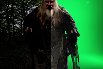 do rotoscope and keying work for you