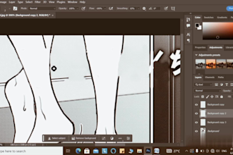 translate, clean, redraw and typeset manga, manhwas, webtoons, or comics