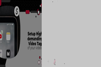 be your youtube channel growth manager video SEO expert