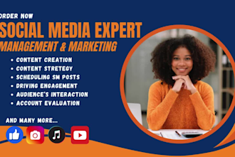 handle social media management daily ads content creation social media posts