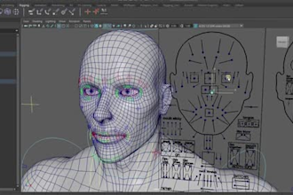 rig3d vrm,livelink face rig,52arkit blendsape,obs rig,blender avatar,wd,lip sync