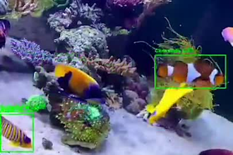 do data annotation, bounding box, segmentation for ml, ai models image videos
