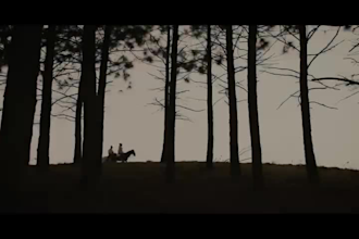 edit your short and feature film to hollywood standard