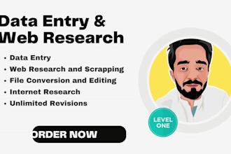 do any type of data entry and website research work
