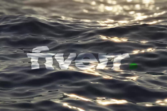 create realistic ocean water logo animations in 2hours