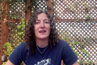 do a developmental edit on your book