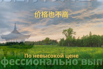 manually perform the translation in chinese and russian languages