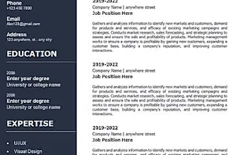 design a modern and professional resume or CV