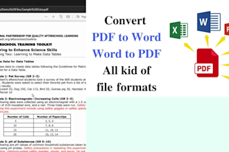 do PDF to excel file conversion and accurate data entry