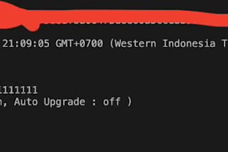 build a custom web scraper, automation bot or whatsapp bot in nodejs