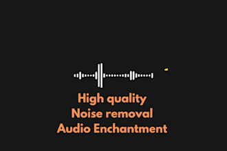professionally enhance your audio and remove noise