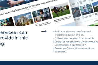 develop blog website, modern professional wordpress blog website