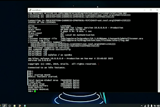 provide expert sql and plsql database development services