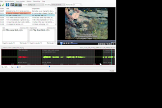 subtitle your videos in english, italian or german