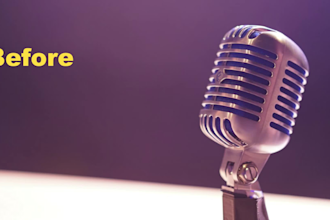 remove the noise of all type from your audio video