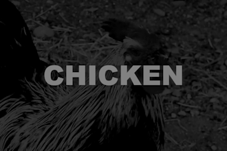 compose an instrumental or soundtrack