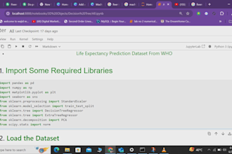 make professional machine leraning and deep learning projects