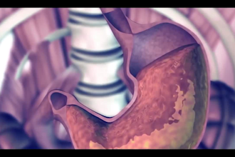 create informative science  educational videos with script