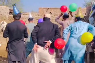 do happy birthday video or happy birthday video africa