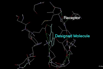 do molecular docking , drug designing , md simulation