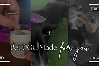 create ugc for pet products with my dog