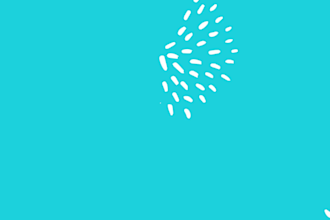 make unique social media flyers, and animation in 24 hours