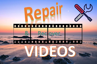 repair and recover corrupted videos