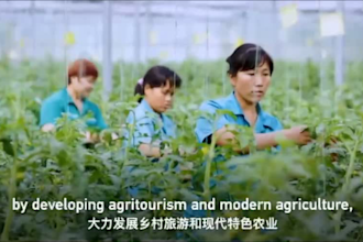 translate and add english or chinese subtitle to your videos