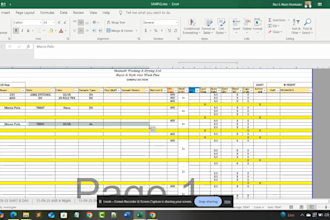 do excel data entry, copy paste, typing, file conversion