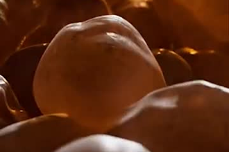 do 3d perfume animation 3d perfume bottle animation 3d perfume fragrance