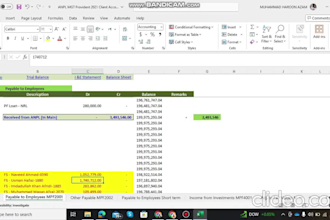 prepare balance sheet, profit or loss, cashflows, excel, word