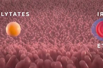 do 3d medical animation 3d surgery 3d anatomy 3d scientific explainer video